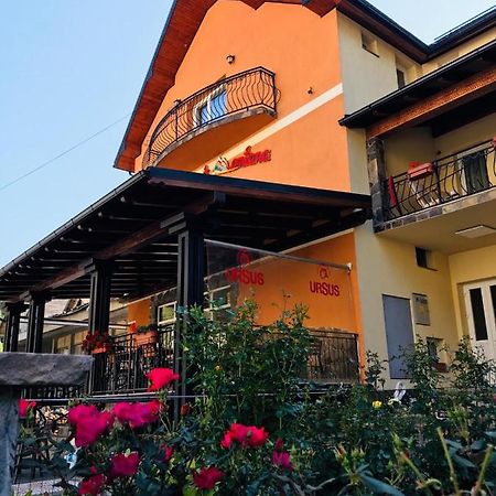 Pensiunea Montana Borsa Mm Baile Borsa Exterior foto