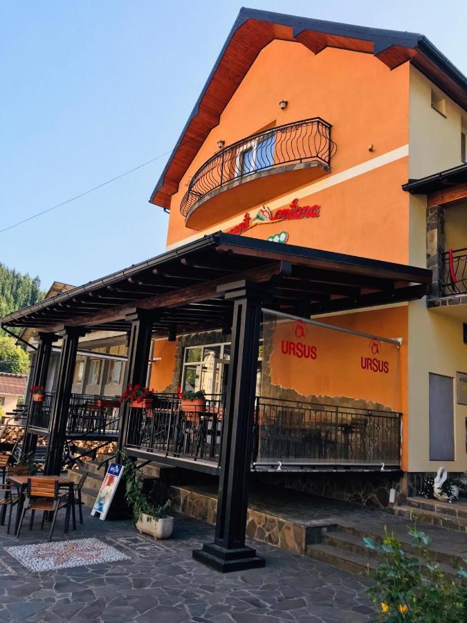 Pensiunea Montana Borsa Mm Baile Borsa Exterior foto