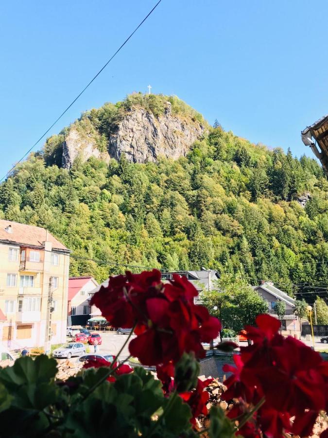 Pensiunea Montana Borsa Mm Baile Borsa Exterior foto